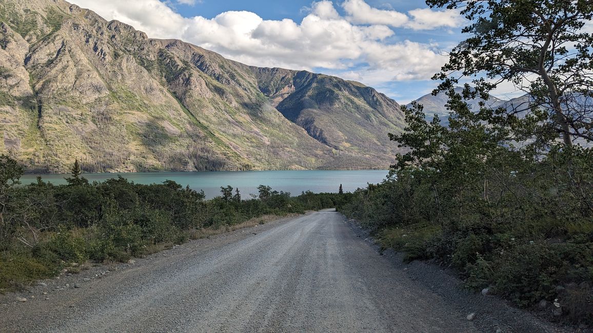 Etiqueta 21: Alrededor de Whitehorse: Cachorros de husky, Lago Esmeralda y el desierto más pequeño del mundo