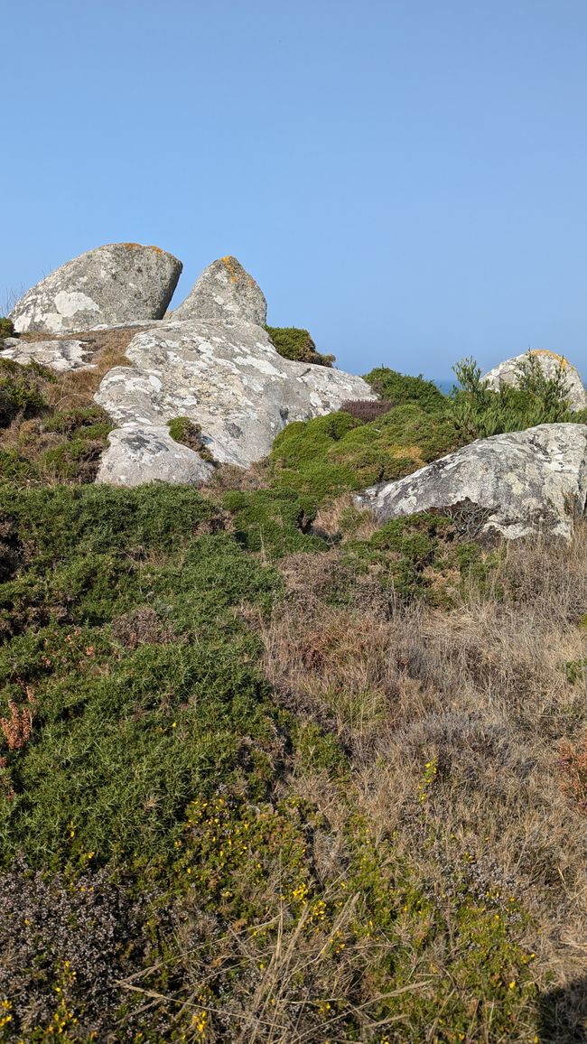 Vierte Etappe von Viana do Castelo bis nach Vila Praia de Ancora