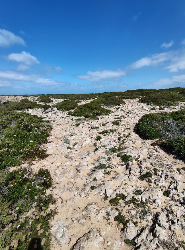 Sagres -> Vila do Bispo