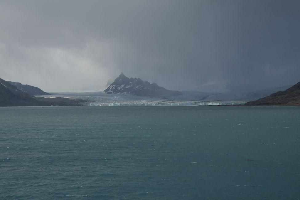 Südgeorgien / South Georgia