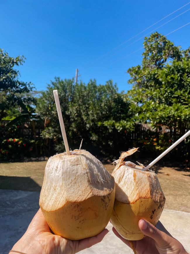 En la tierra del reggae 🇯🇲
