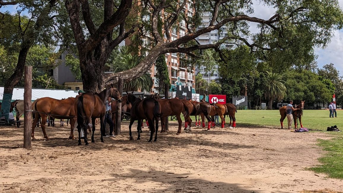 Hop On Hop Off Buenos Aires - Tag 1