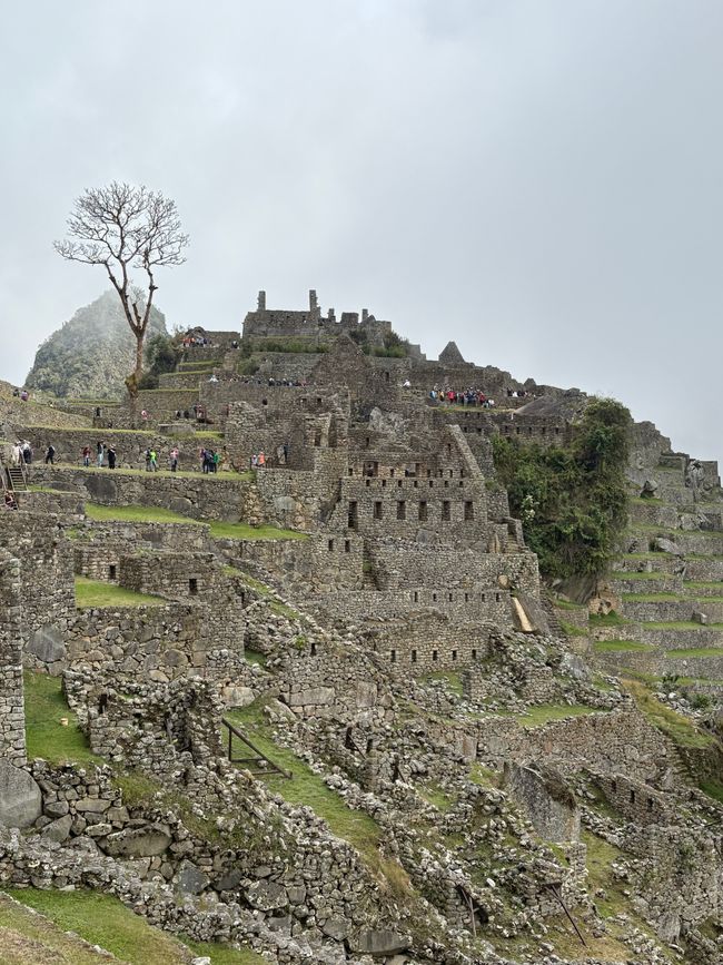 Peru_2025 - Tag 16: Machu Picchu