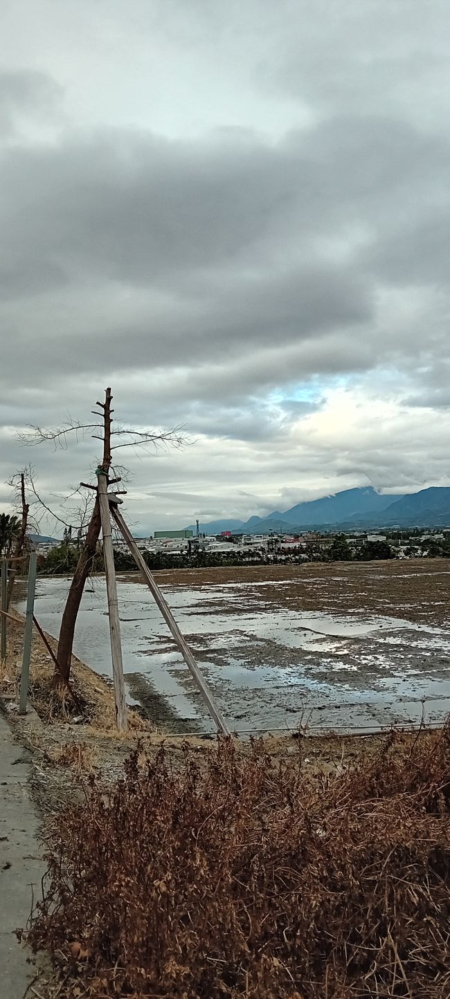 Luye y Taitung