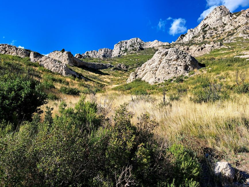 The Flavors of the Alpilles