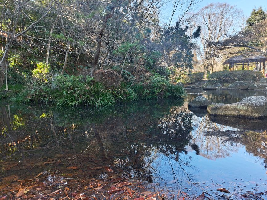 Impressionen aus dem Serigaya Park #6