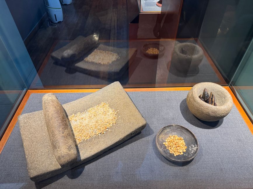 Museo Municipal