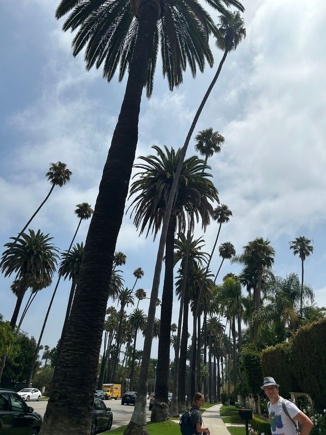 Kalifornien 2025, Tag 2, Hollywood, Beverly Hills und Santa Monica Pier