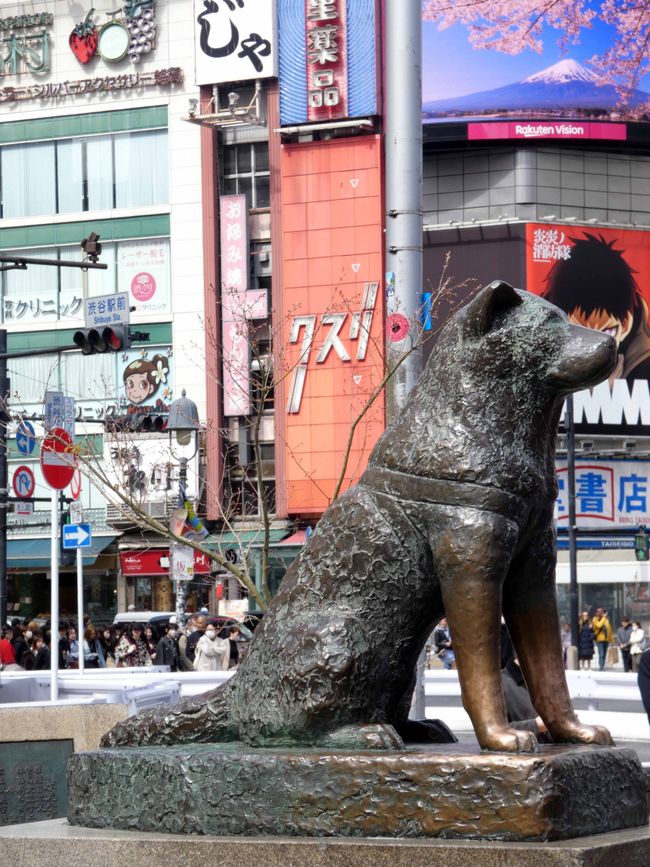 Hachikō