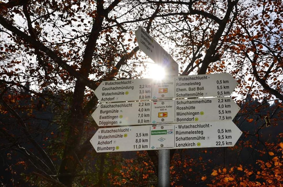 Autumn hiking in the Wutach Gorge: Red, yellow, orange... and you're right in the middle!