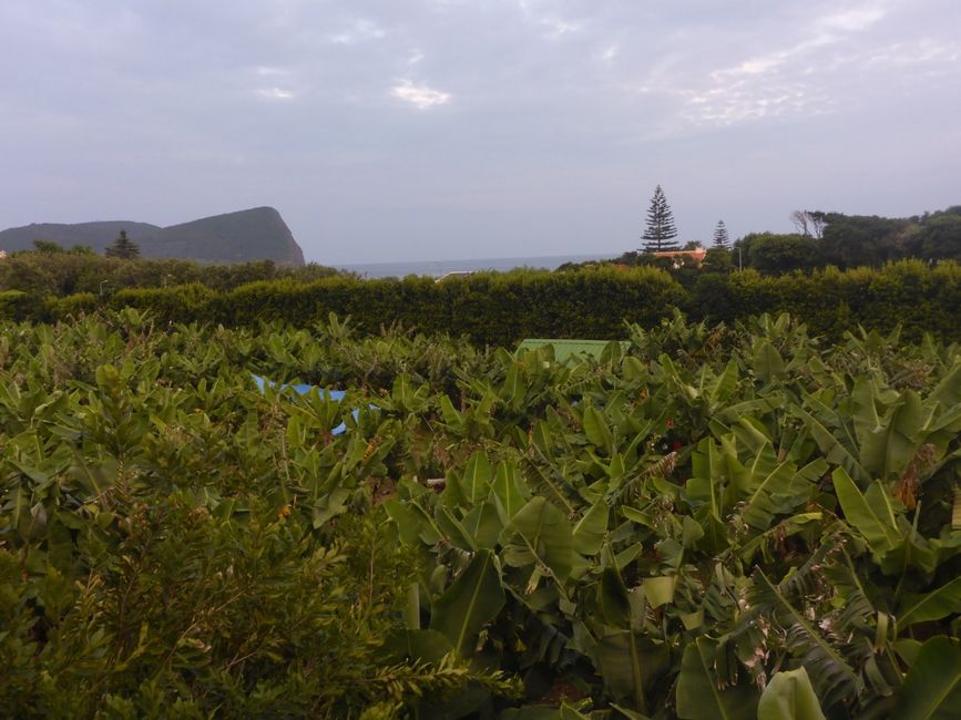 Blick von der Terrasse 