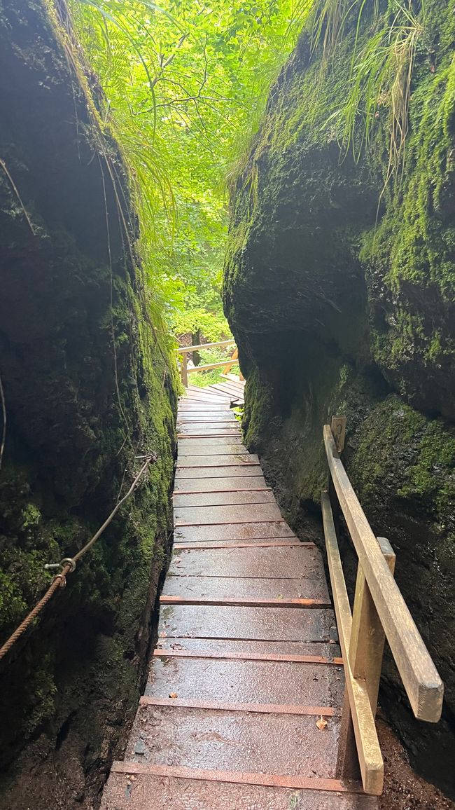 Discover Germany anew