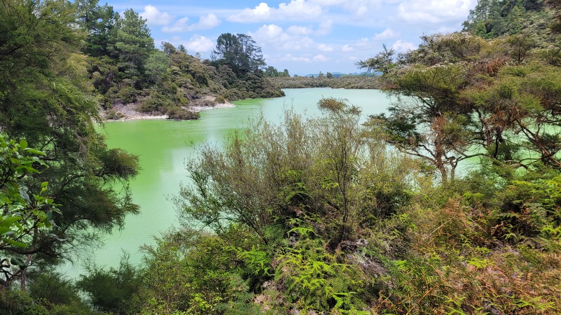 In Wai-O-Tapu National Park and at Lady Knox