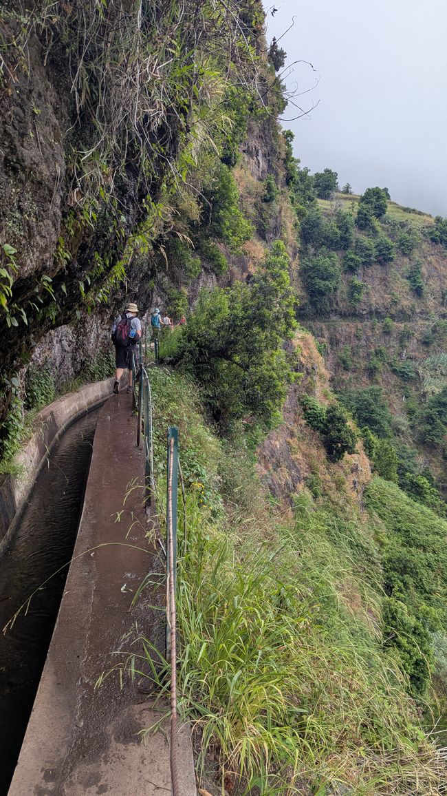Tag 8: Wandern entlang der Levada do Moinho & Levada Nova
