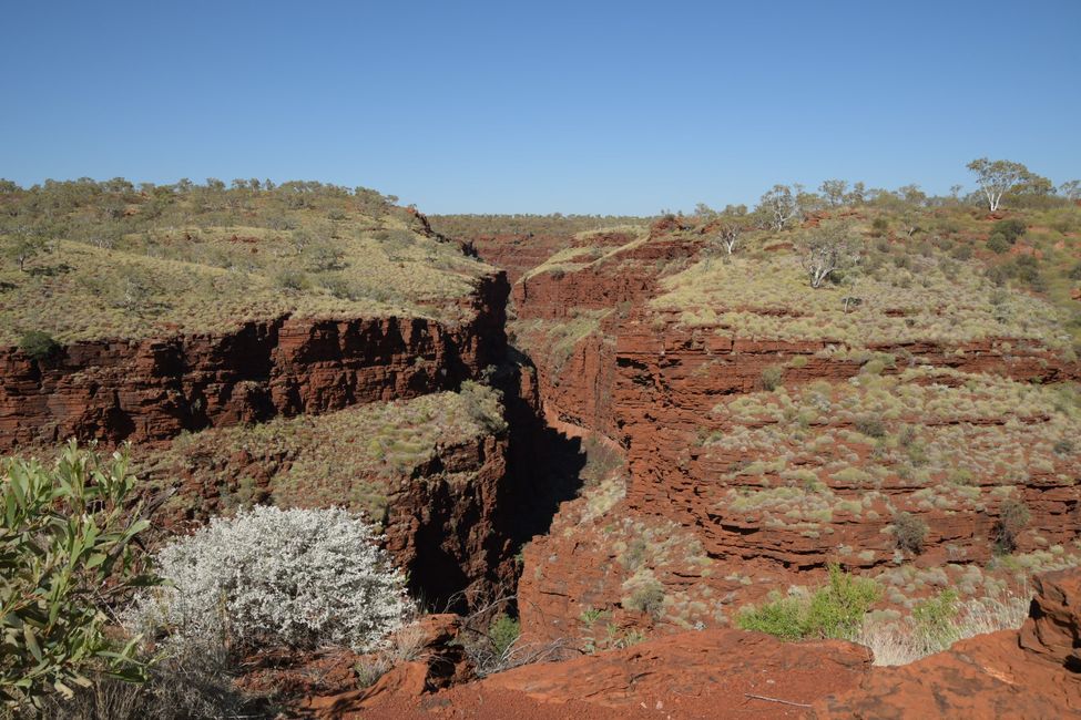 Oxer Lookout