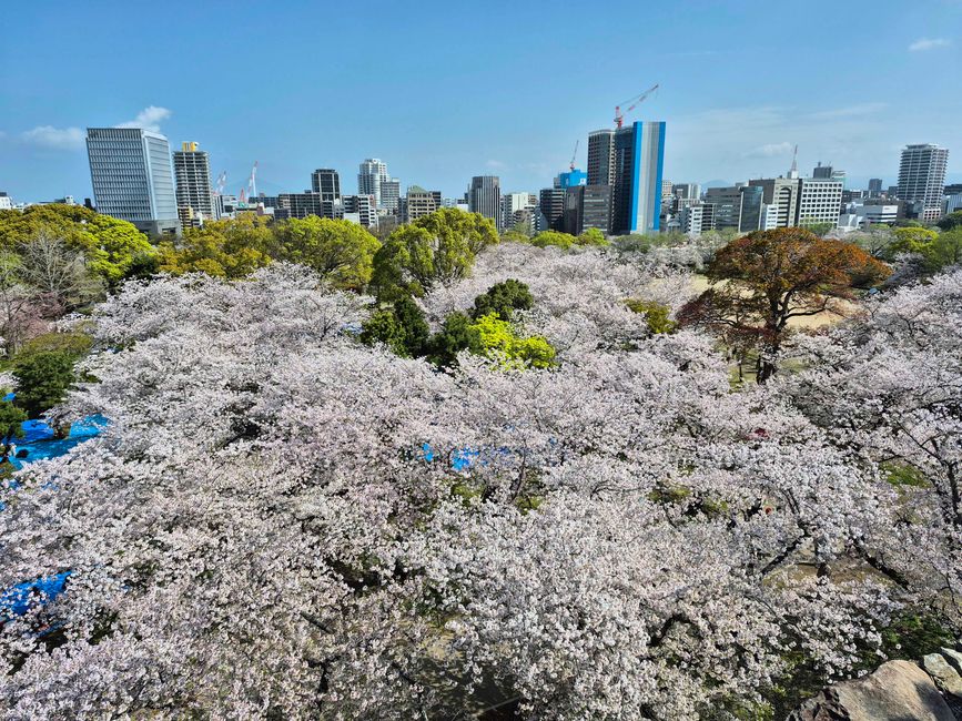 Fukuoka, 5 avril 2026
