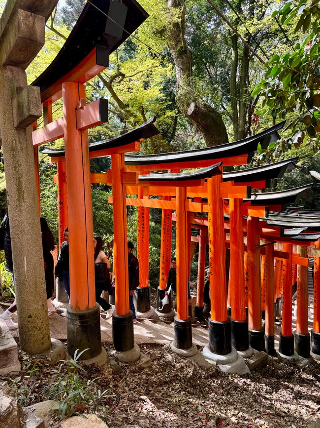 Part 8 Japan 🇯🇵 Kanazawa