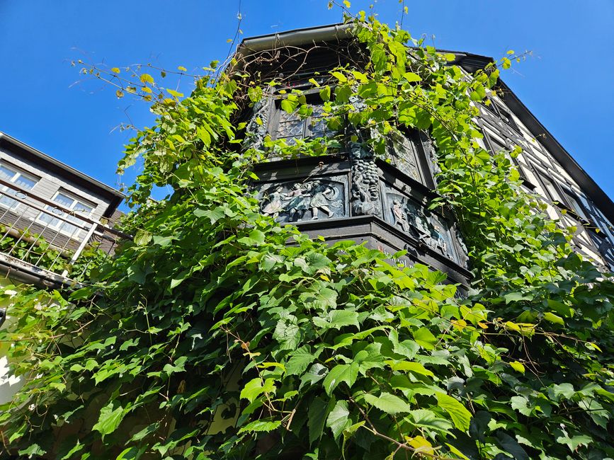 Drosselgasse 