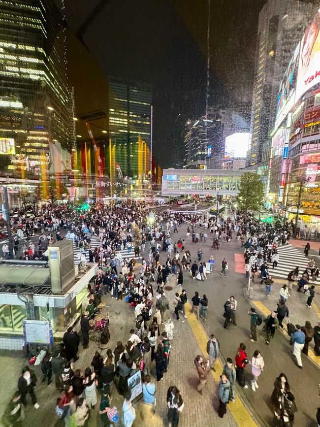 Parte 7
BENVENUTO IN GIAPPONE 🇯🇵
TOKYO