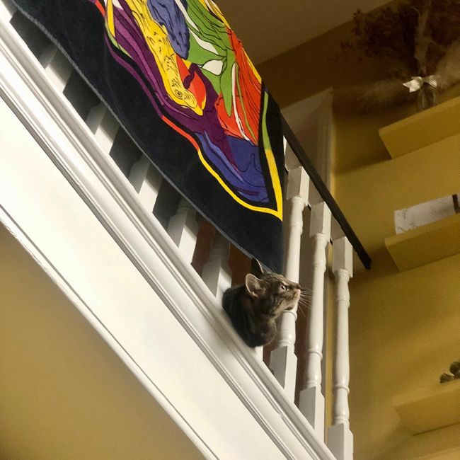 Unser Dubliner Zuhause