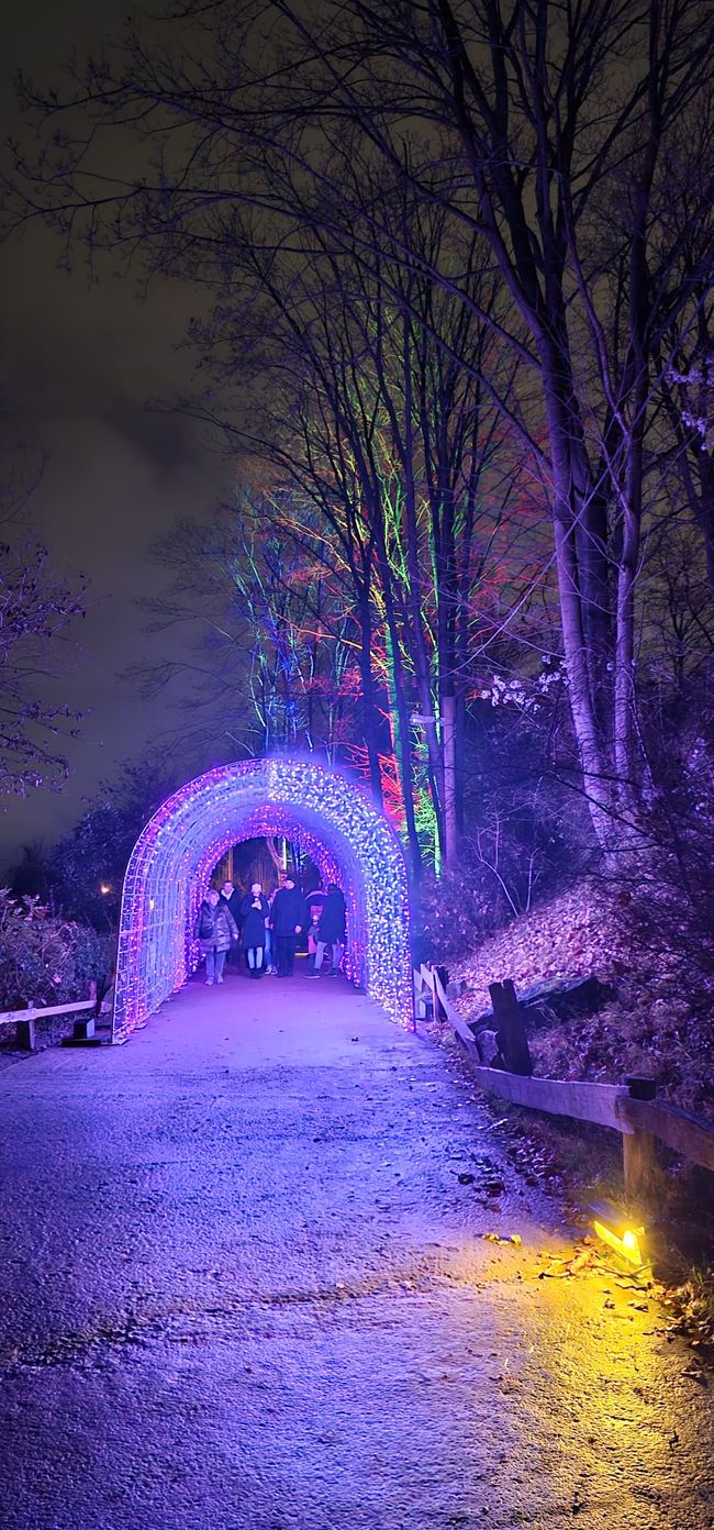 Giardino di Natale allo Zoo di Hannover