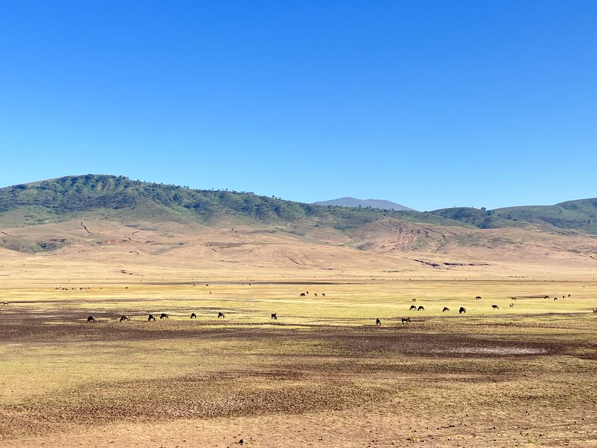 Il Cratere di Ngorongoro