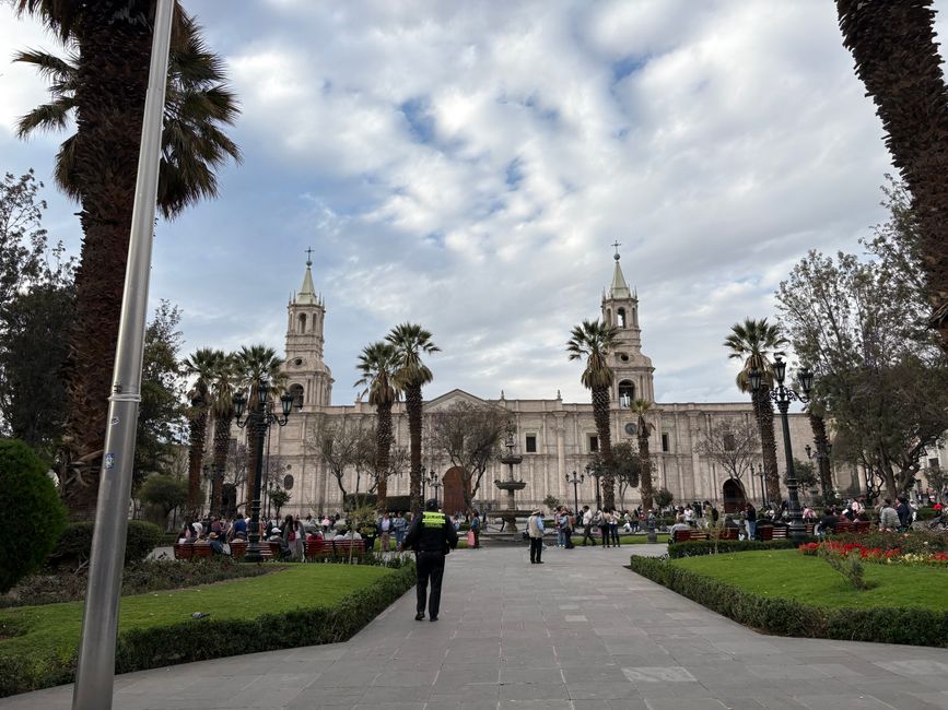 Arequipa 🦙
