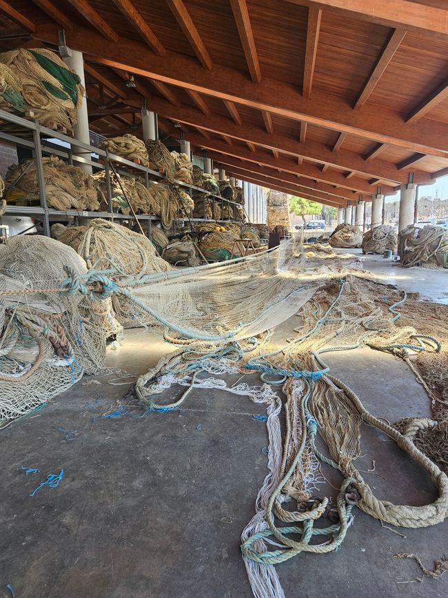 Fischereihafen 