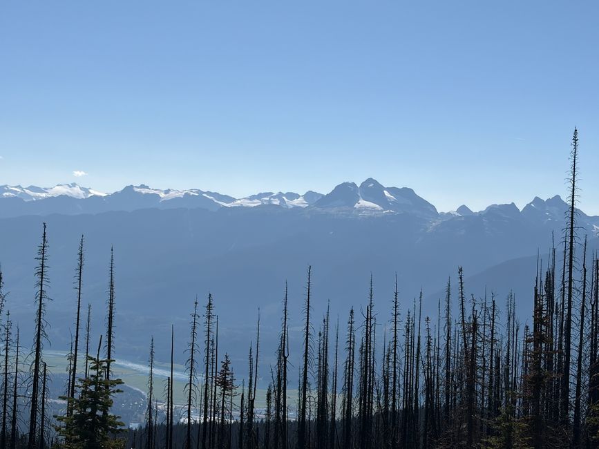 Kanada 7/21 - Revelstoke