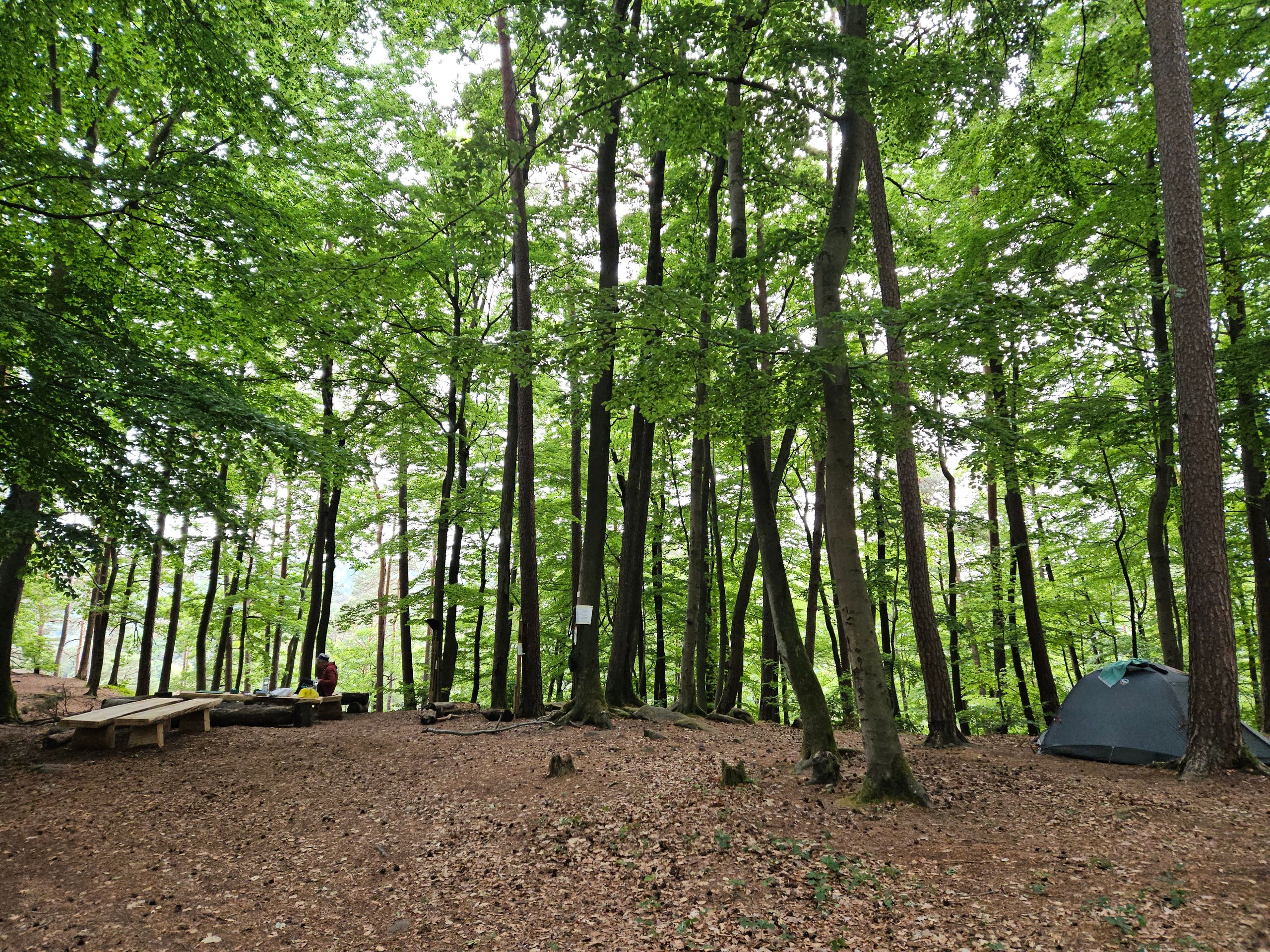 Camp Eußerthal