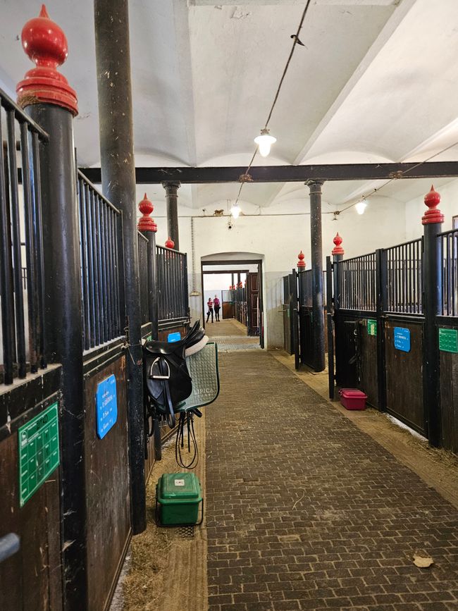 Stallungen