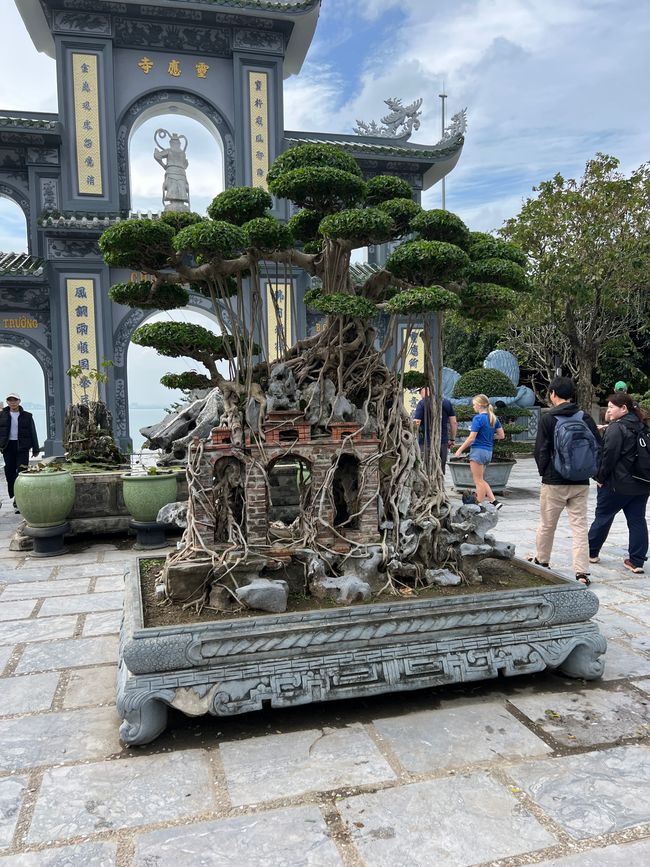 Tag 5 - Hoi An: Ein Tag mit Affen, Einhörnern und vielen Überraschungen