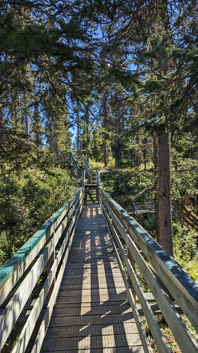 Tag 27: Bärenshow & fantastische Bergwelten - zurück nach Yukon/Kanada