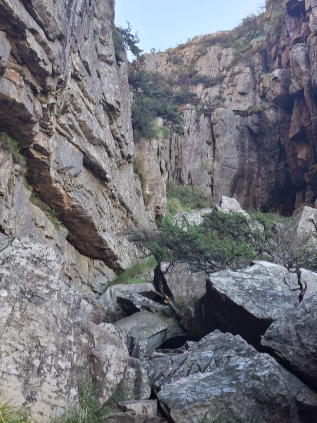 Caminata por la Montaña de la Mesa