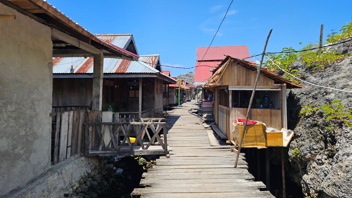 Isla Papan y el Lago de Medusas