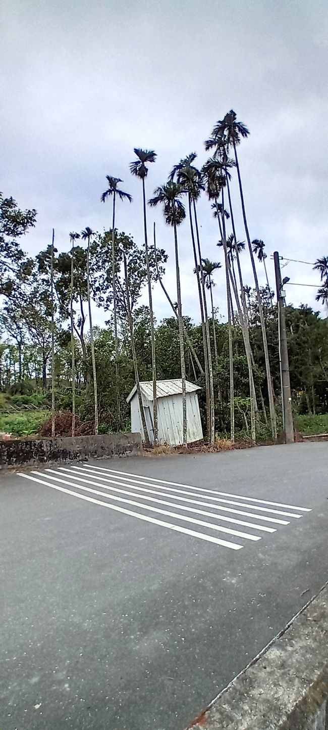 Luye y Taitung