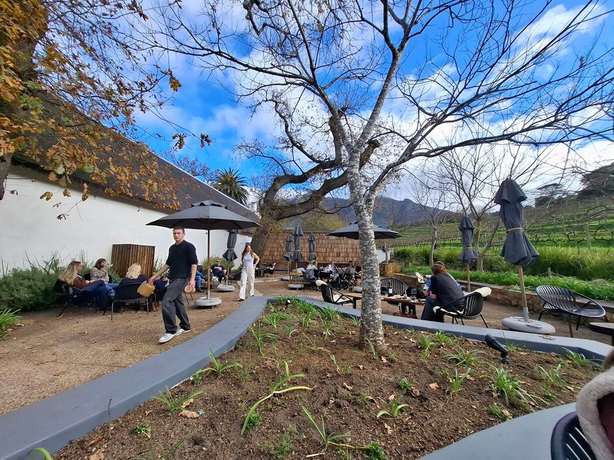 Dégustation de vin à 'Constantia' - délicieux