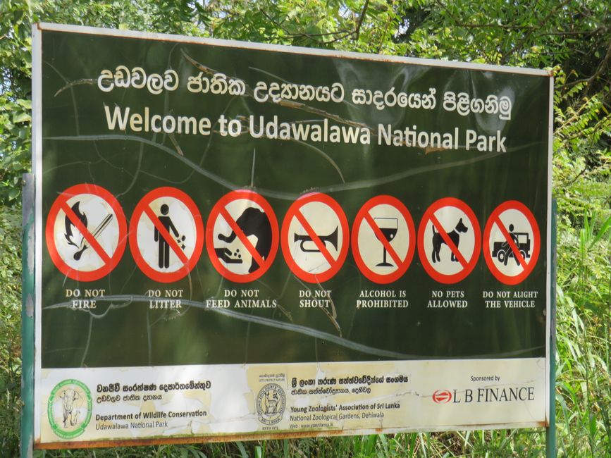Udawalawa - Safari avec des éléphants