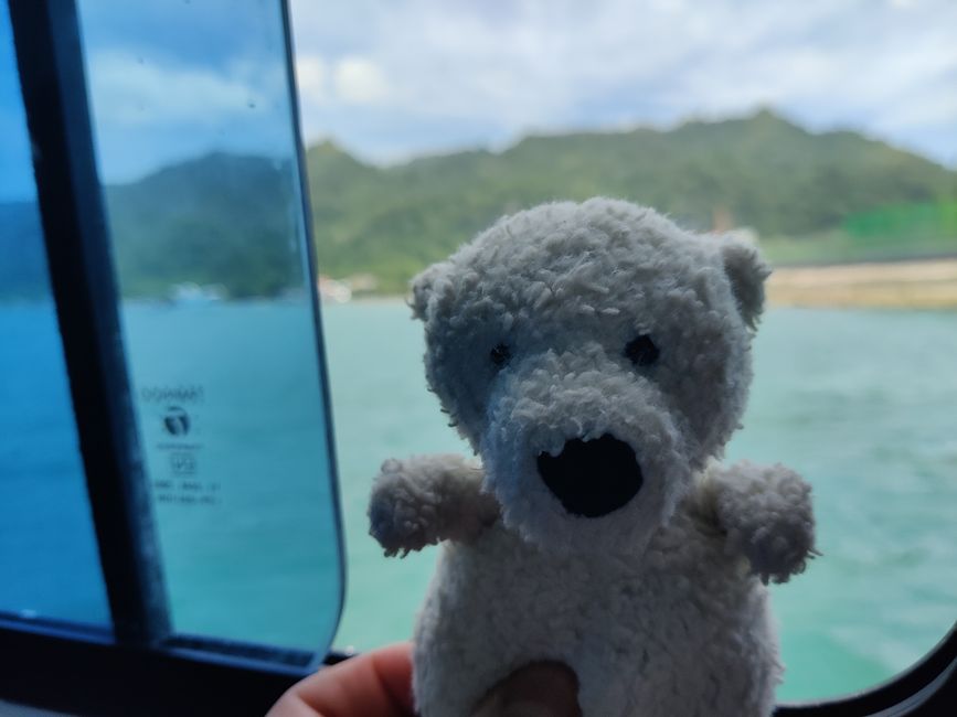 Travis ai Triton Bay Divers: Squali e altro