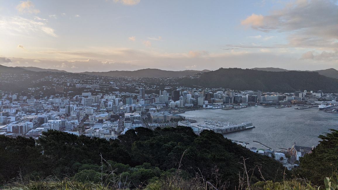 Wellington