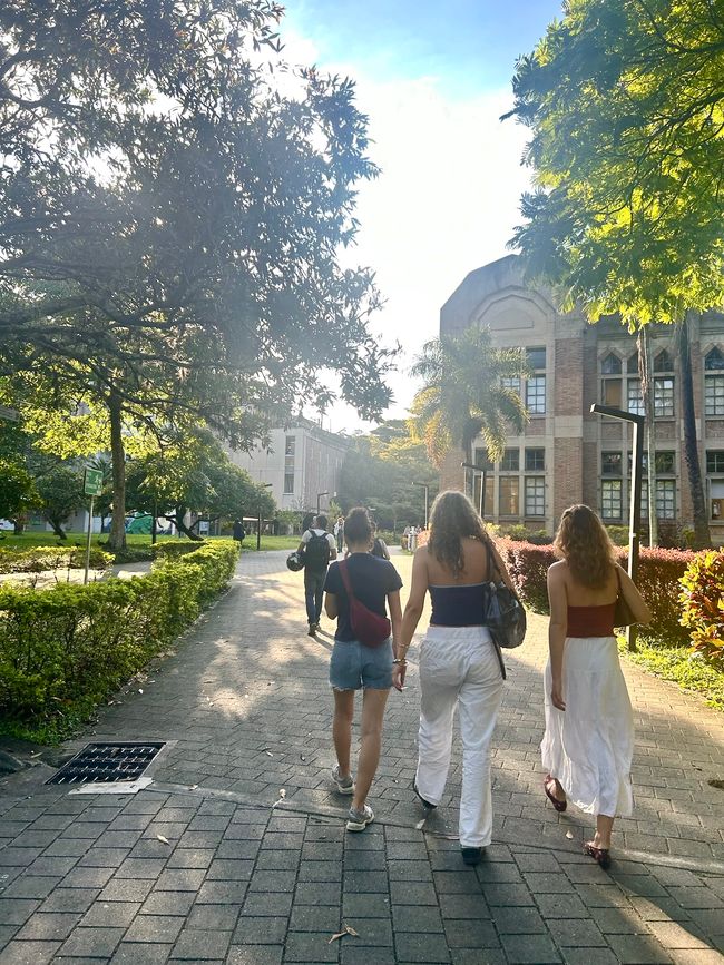 Medellín- die Stadt, in der alles erblüht?