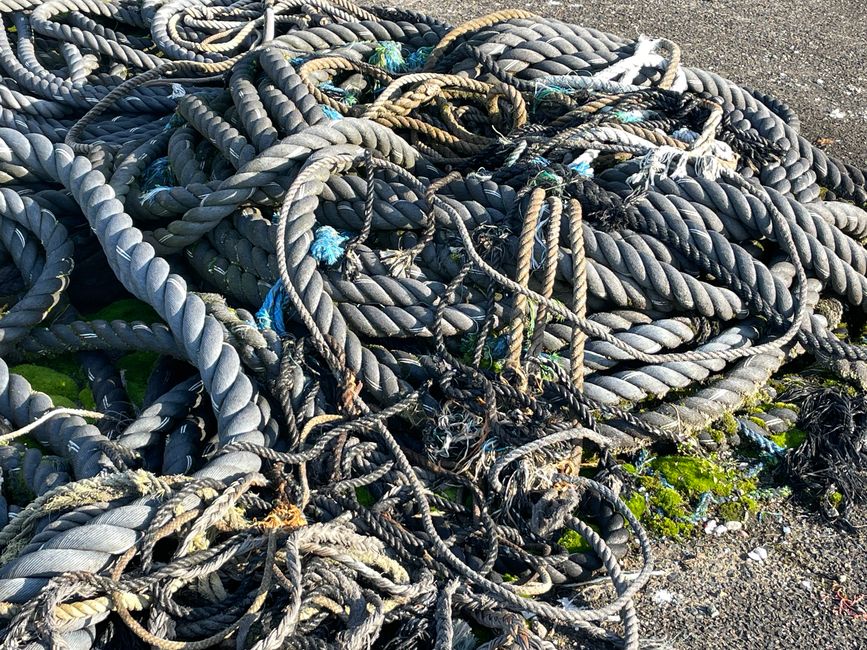 30.Kapitel: Adler über Maizuru oder genug ist vielleicht mal genug