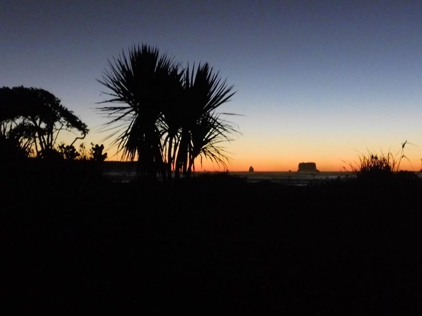 2025-03-16 WWOOF 2, Hokitika chez Joan et direction Picton