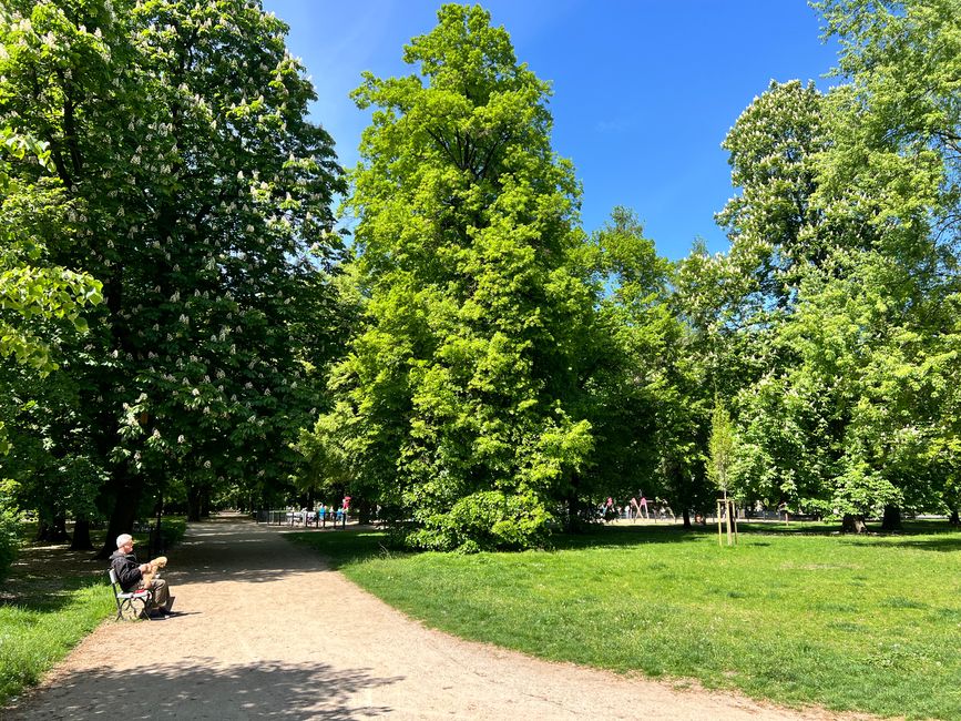 Spaziergang durch Warschau
