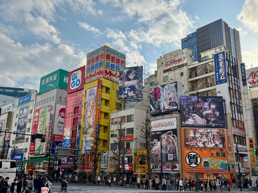 Parte 7
BENVENUTO IN GIAPPONE 🇯🇵
TOKYO