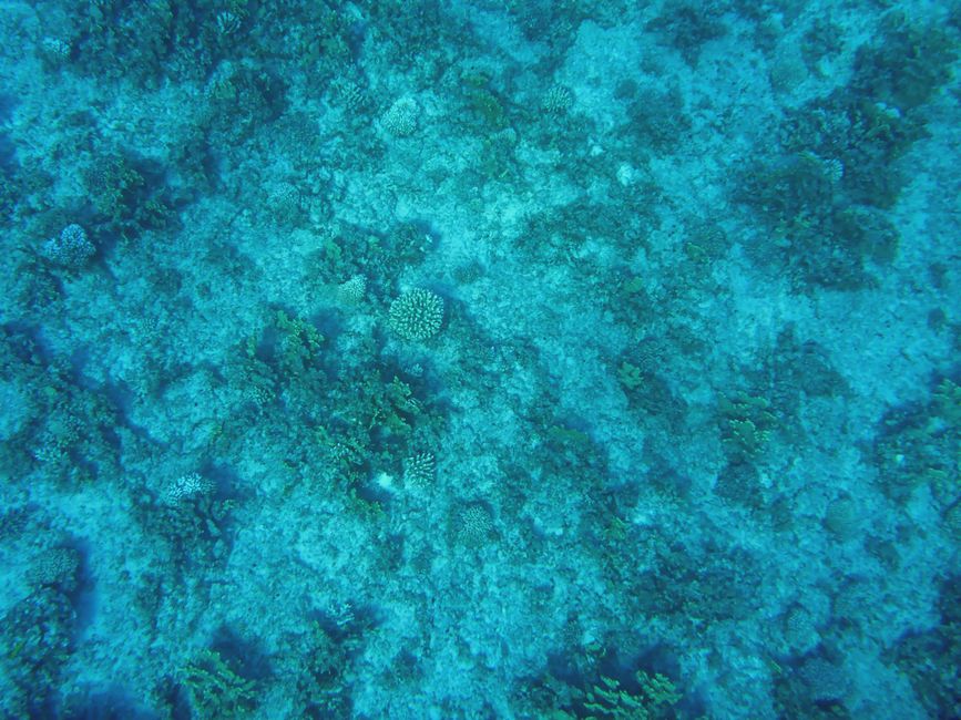 Henderson, Îles Pitcairn