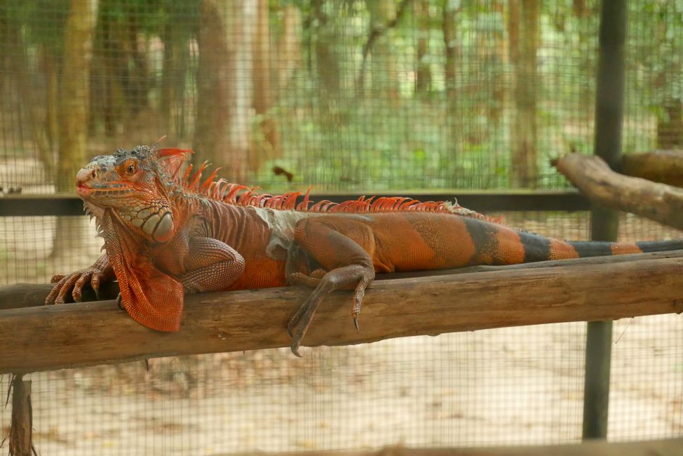 Phnom Tamoa Wildlife Sanctuary