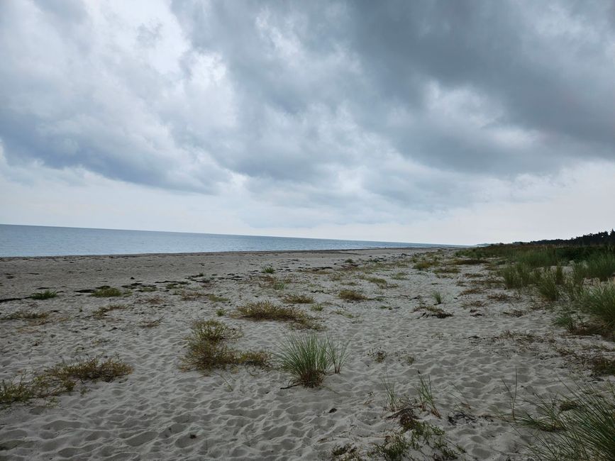 Strand von Marielyst