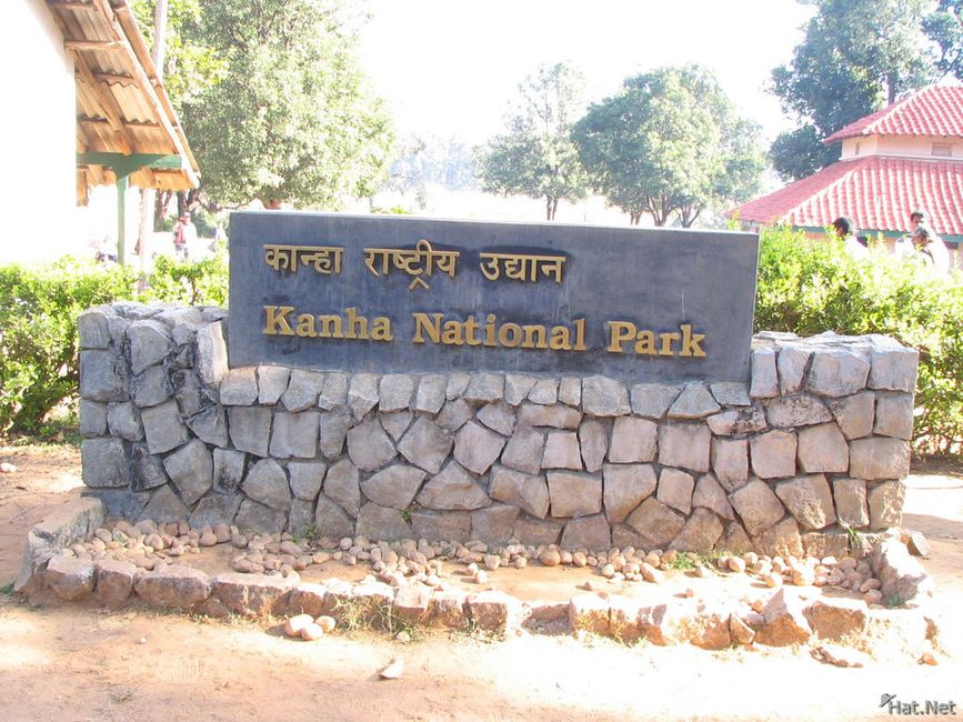 BLOG 7: Kanha National Park