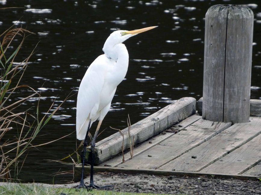 Sentiero Naturalistico del Fiume Kennet